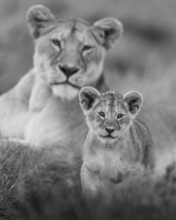Under Mom's Watch