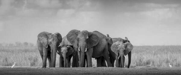 Between Generations
